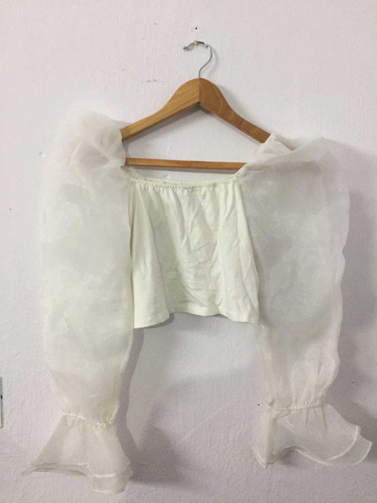 Sheer Sleeve Crop Top