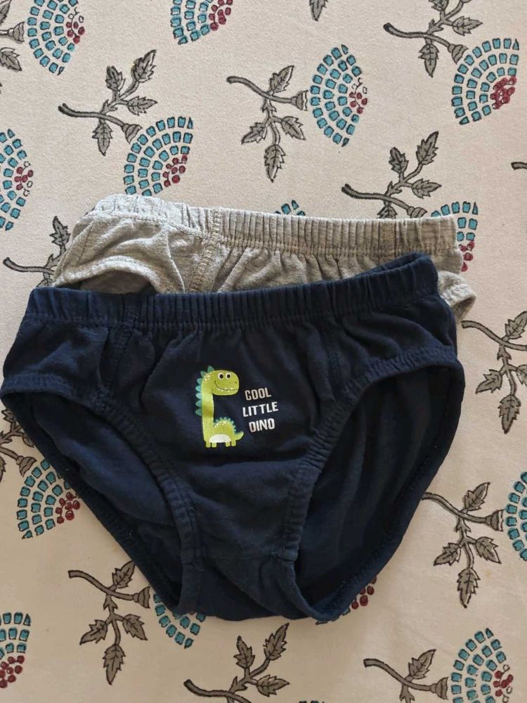 Cute Dinosaur Boys&#39; Briefs - 2 Pack