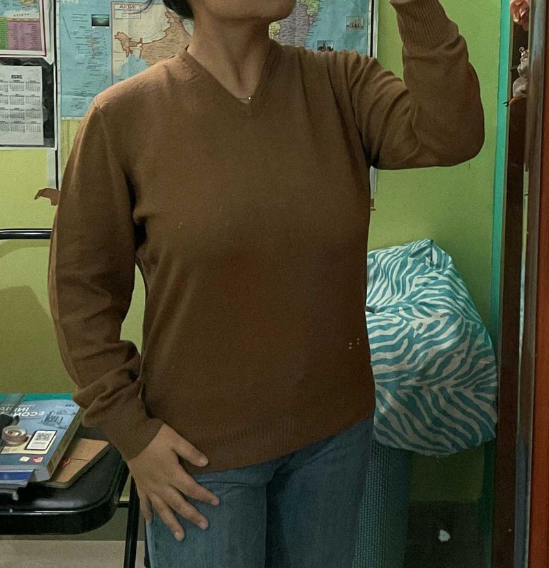 Brown V-Neck Knit Sweater(unisex)