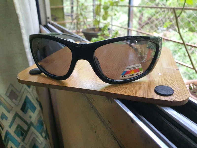 Imported Polaroid Sunglasses