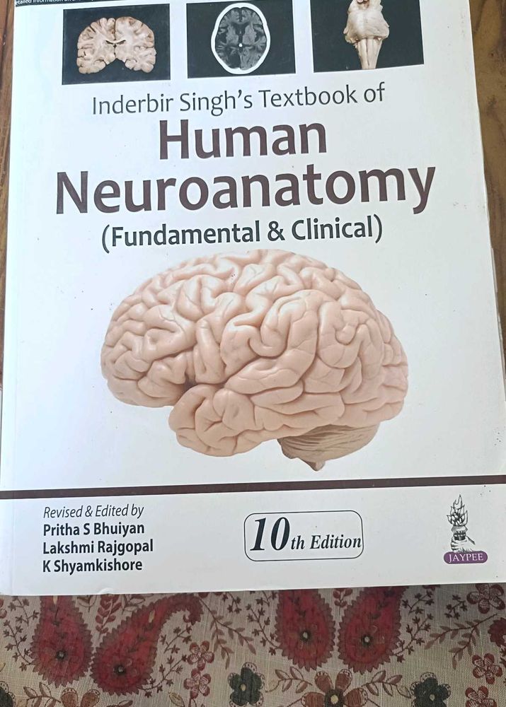 Human Neuroanatomy Textbook