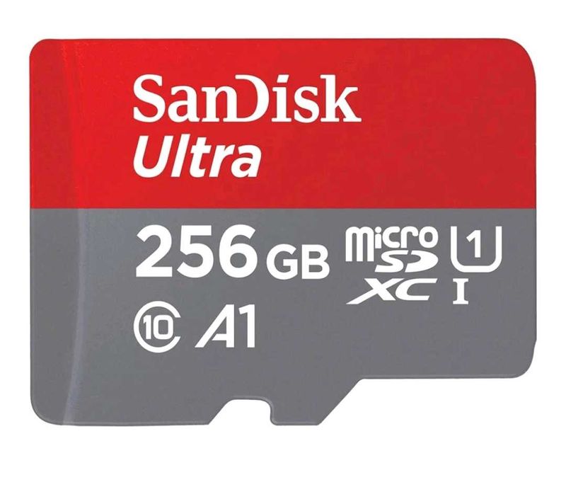 256 GB MICROSD CARD