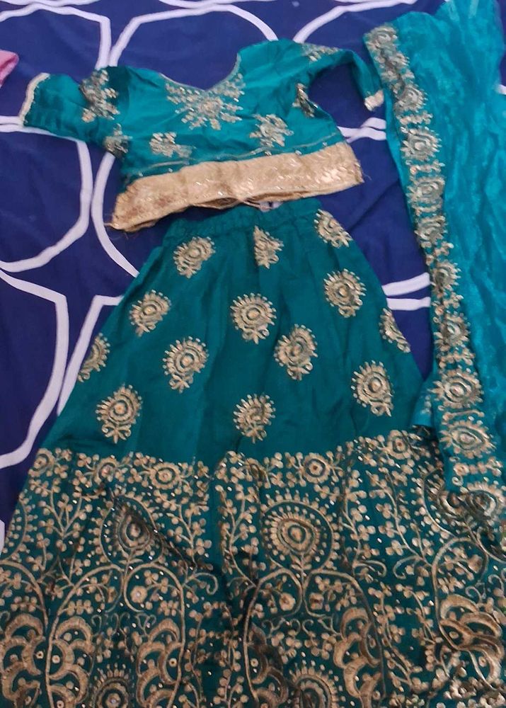 Elegant small girl   2  dress combo