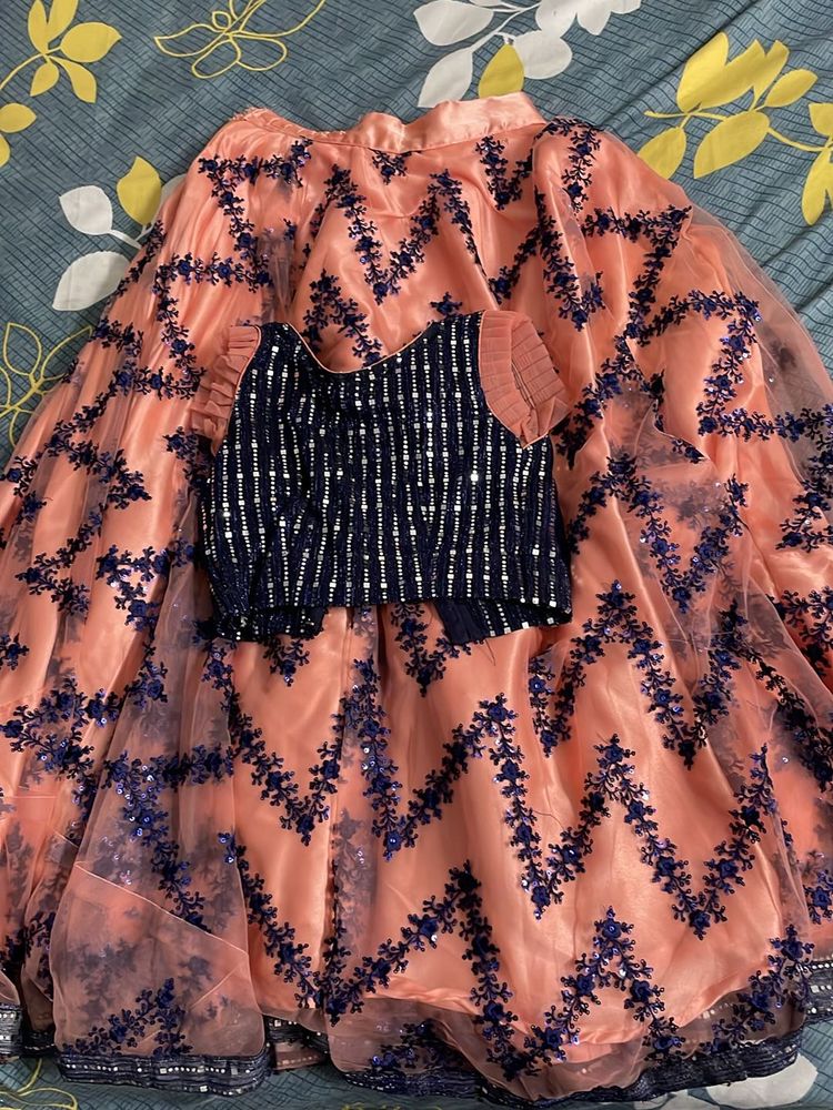 Netted Lehenga With Blouse