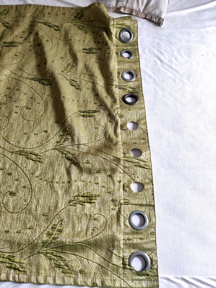 Window Curtain