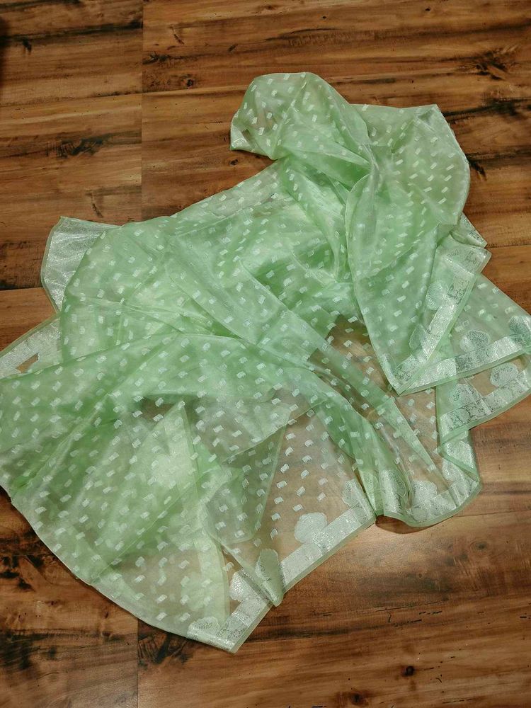 Mint Green Organza saree