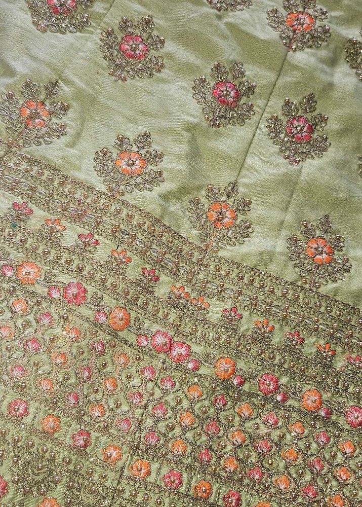 Embroidered parrot lehenga Choli
