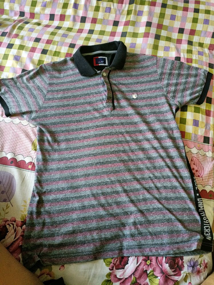 Men Collar T Shirt