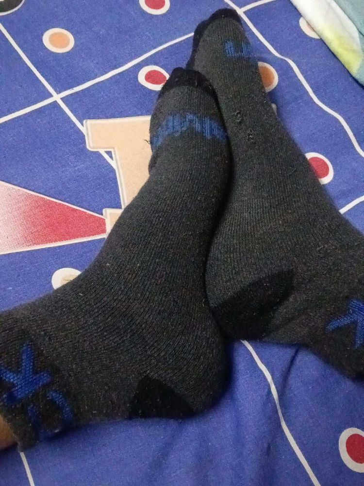 Calvin Klein Article