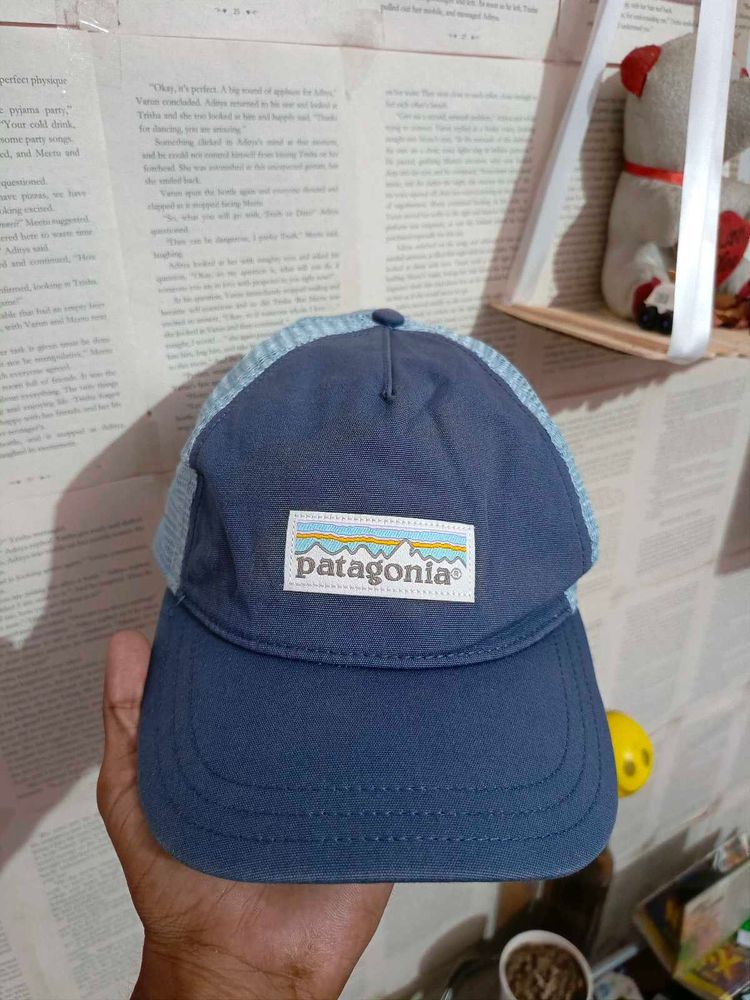 Patagonia Cap
