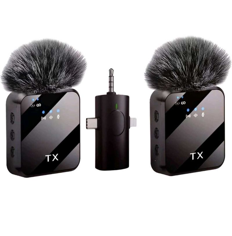 dual Wireless Microphone System free delivery