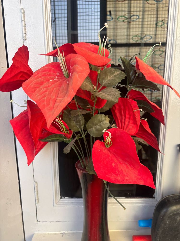 Red Anthurium Arrangement