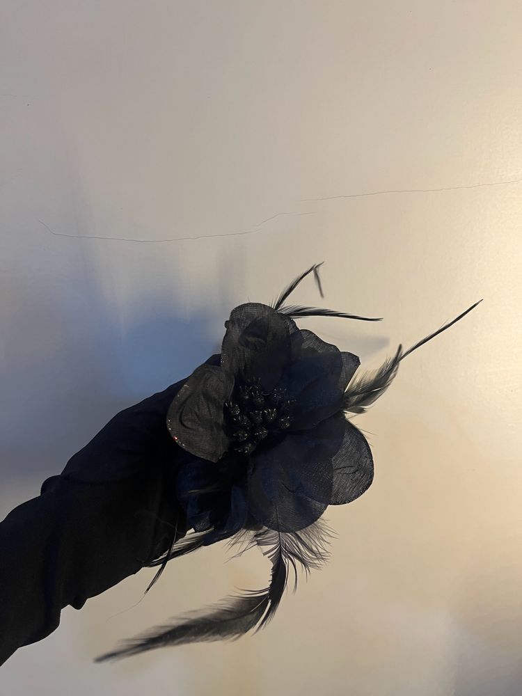 Hair Clip