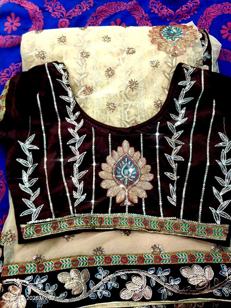 Elegant Saree with Velvet Blouse