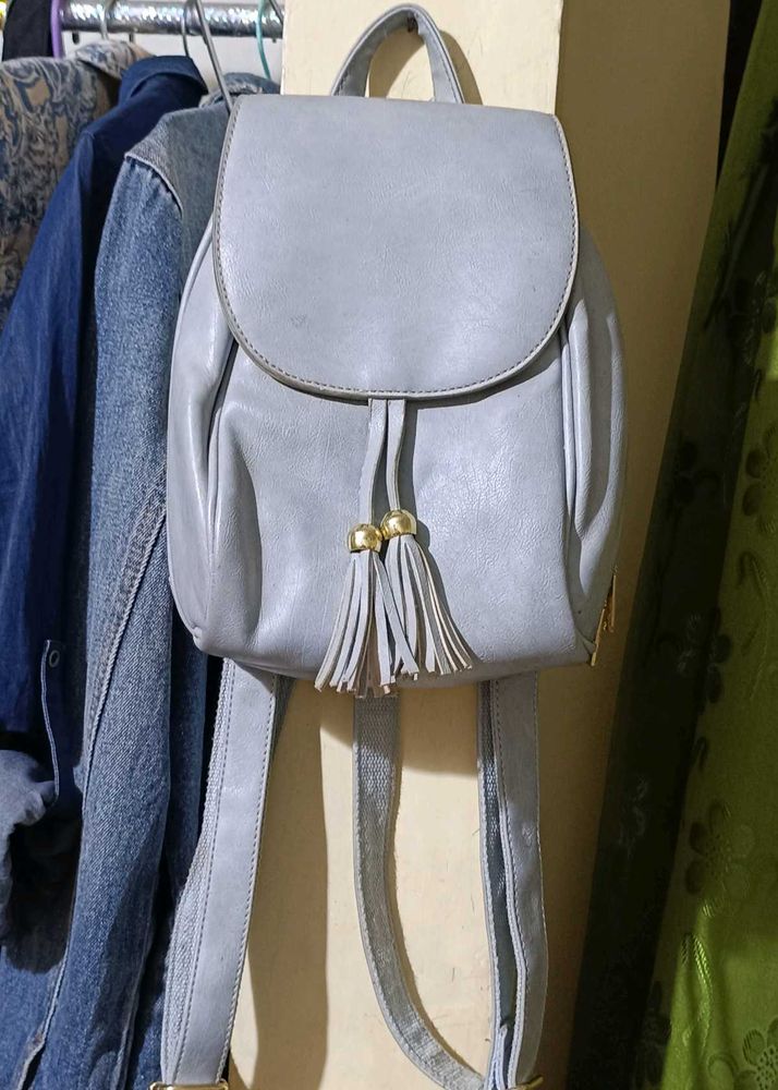 Perfect Everyday Bagpack