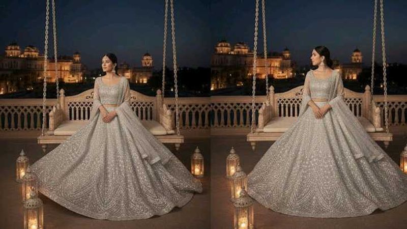 Elegant Silver Lehenga Choli Set