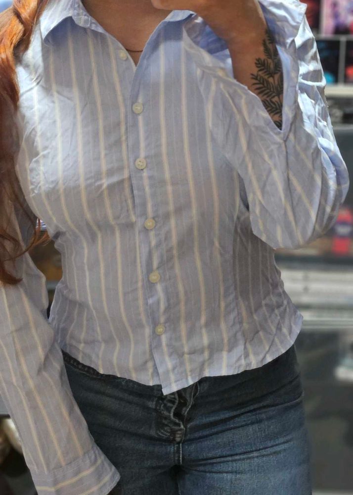 Striped Button-Down Fitted Shirt