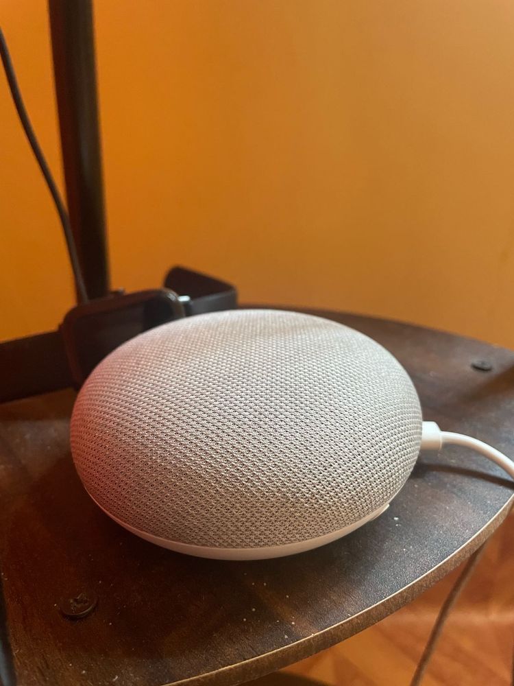 Google Home mini With Cable