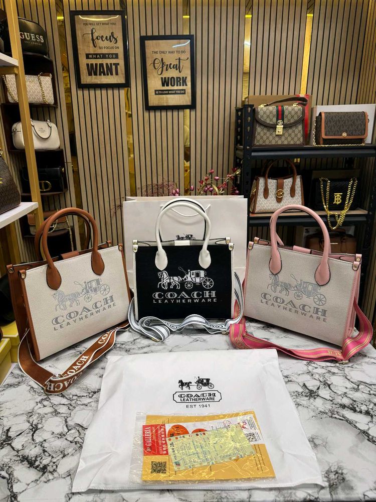 Coach Signature Canvas Premium Bag (Master Copy)