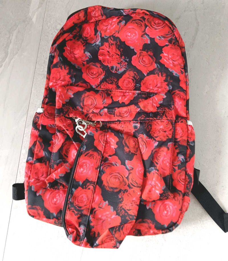 New School/College Bags Back Pack and Pouch