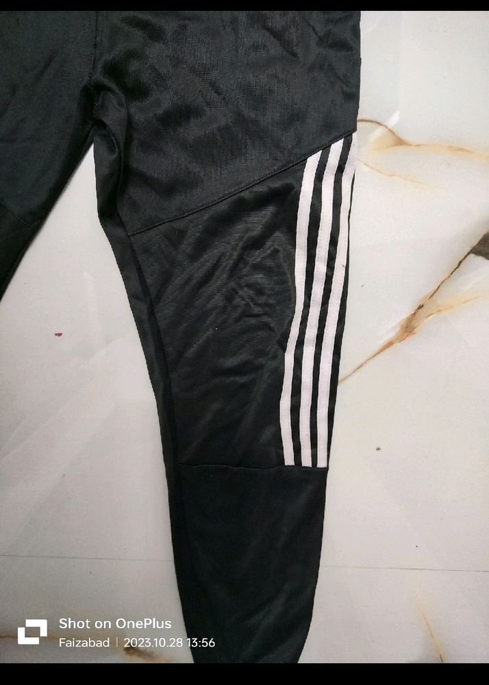 Track Pant Combo Grey And Black