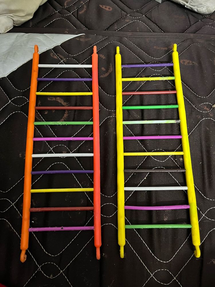 Toy Ladders (Set of 2) Parrot Food