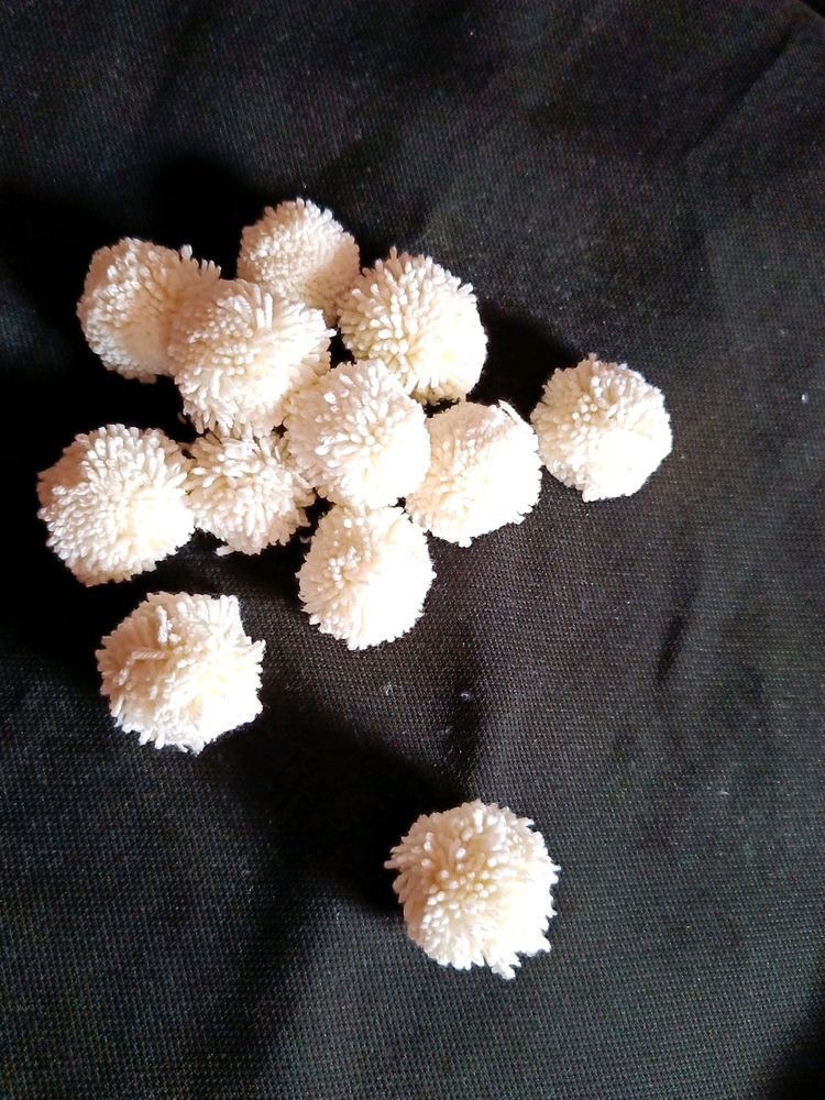Pom Pom