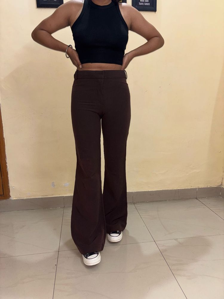 Brown Bootcut Trousers For Women
