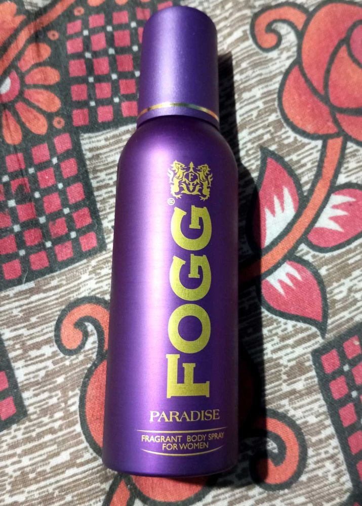 FOGG Paradise New
