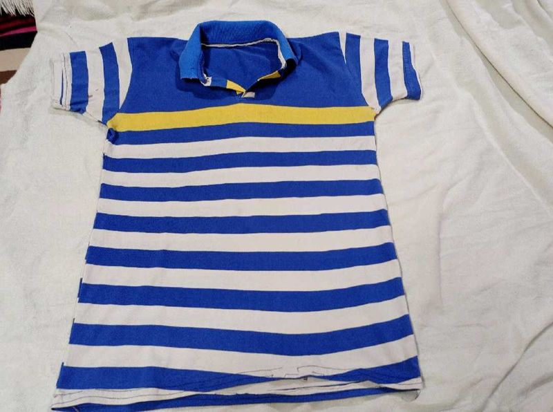 Casual Blue &amp; White Striped Polo T-Shirt