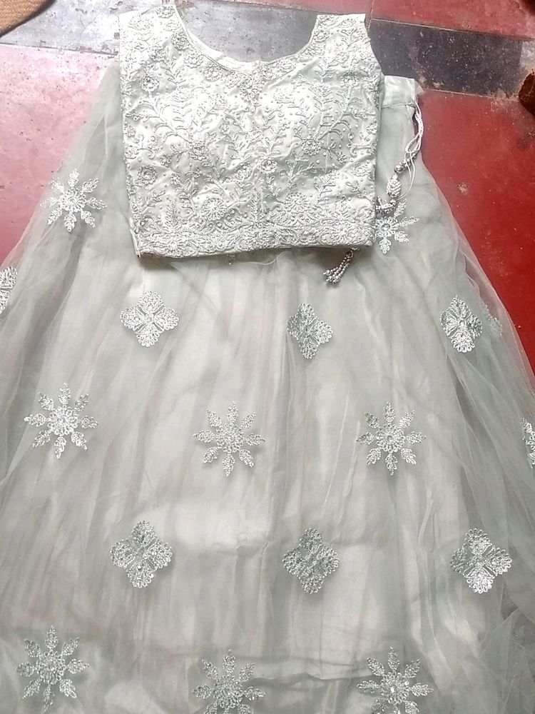 Elegant Embroidered Lehenga Set