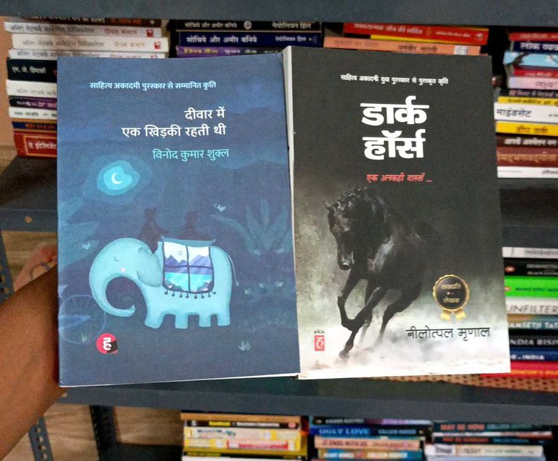 🐎Hindi Literature Fiction Book Bundle