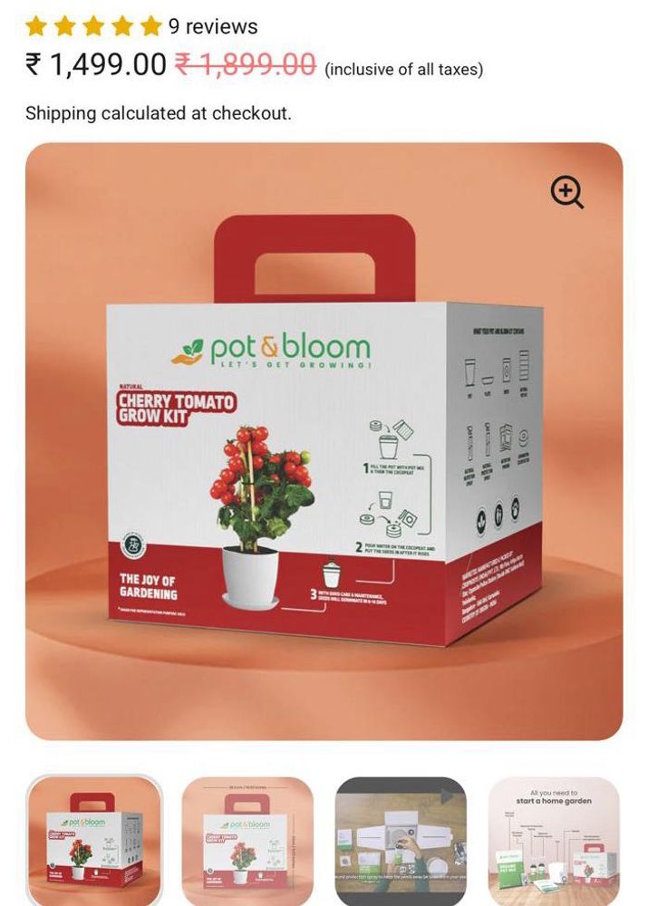 Pot &amp; Bloom Cherry Tomato Kit