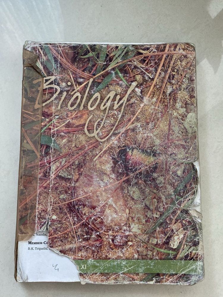 NCERT Biology Class XI Textbook