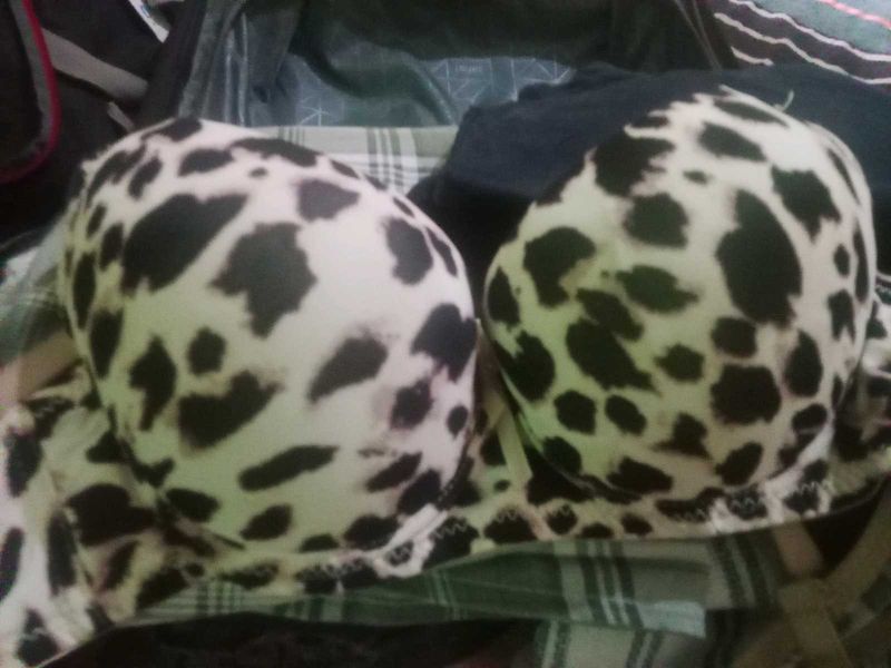 Double Padded Pushup Bra