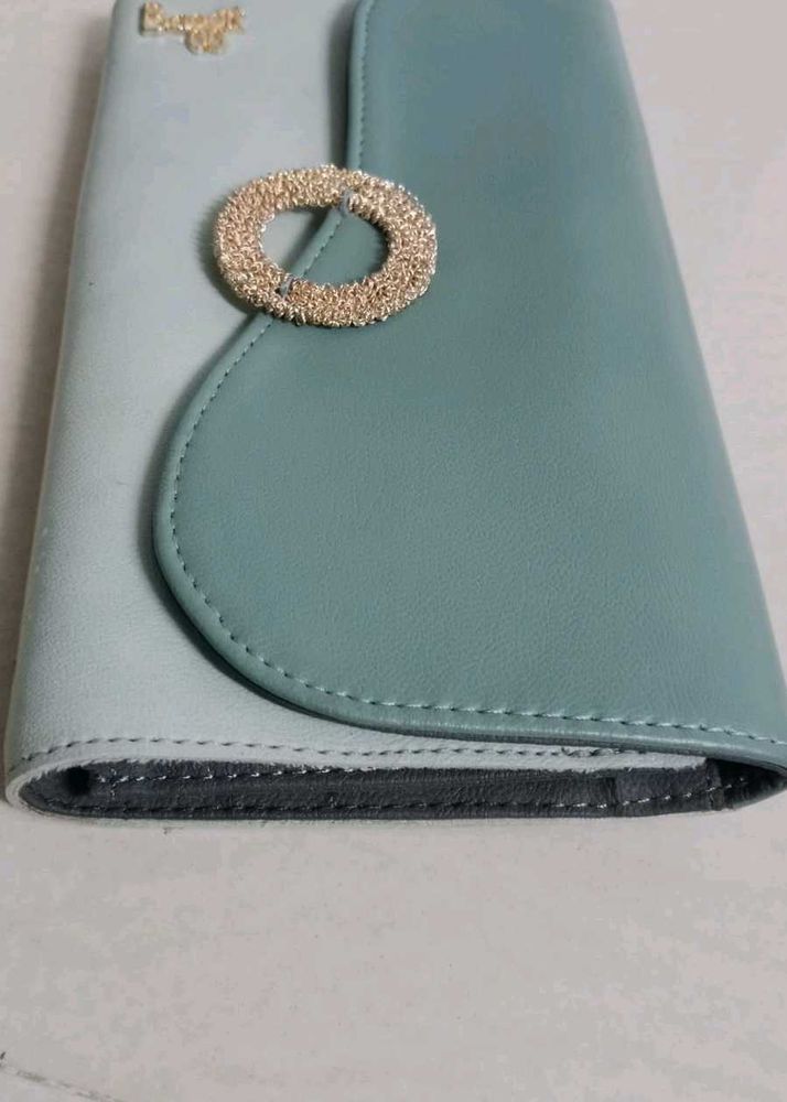 Cyan baggit Clutch