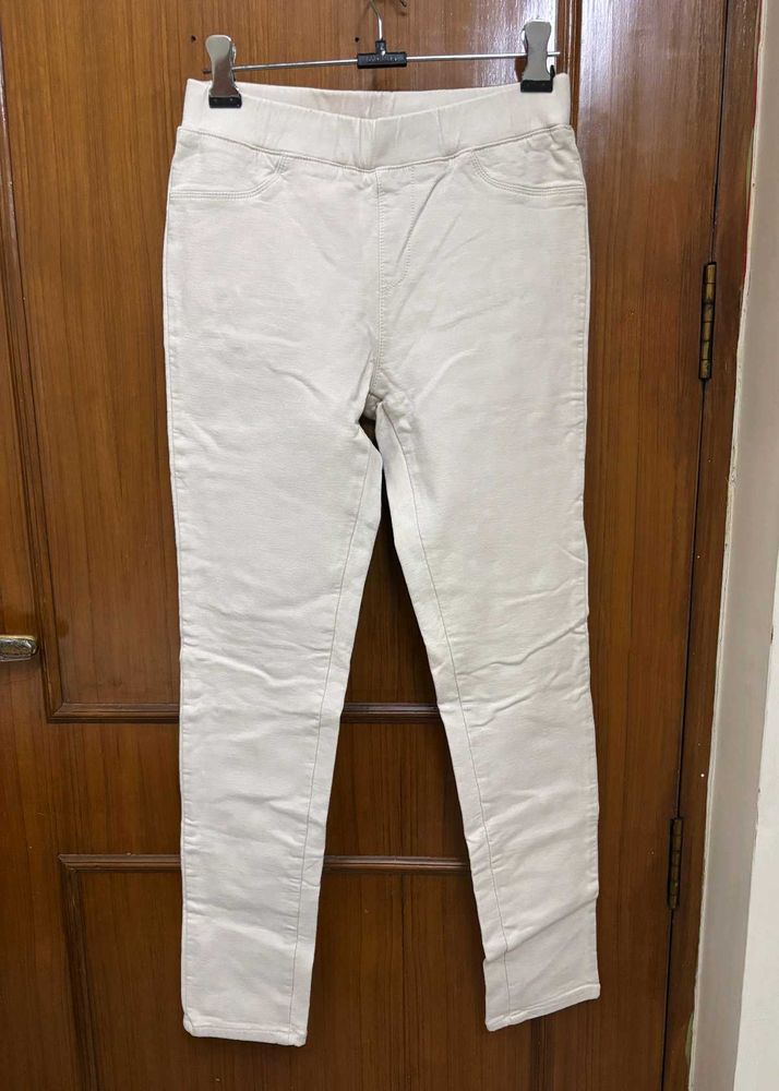 Winter Beige Slim Fit Pant/ Trousers