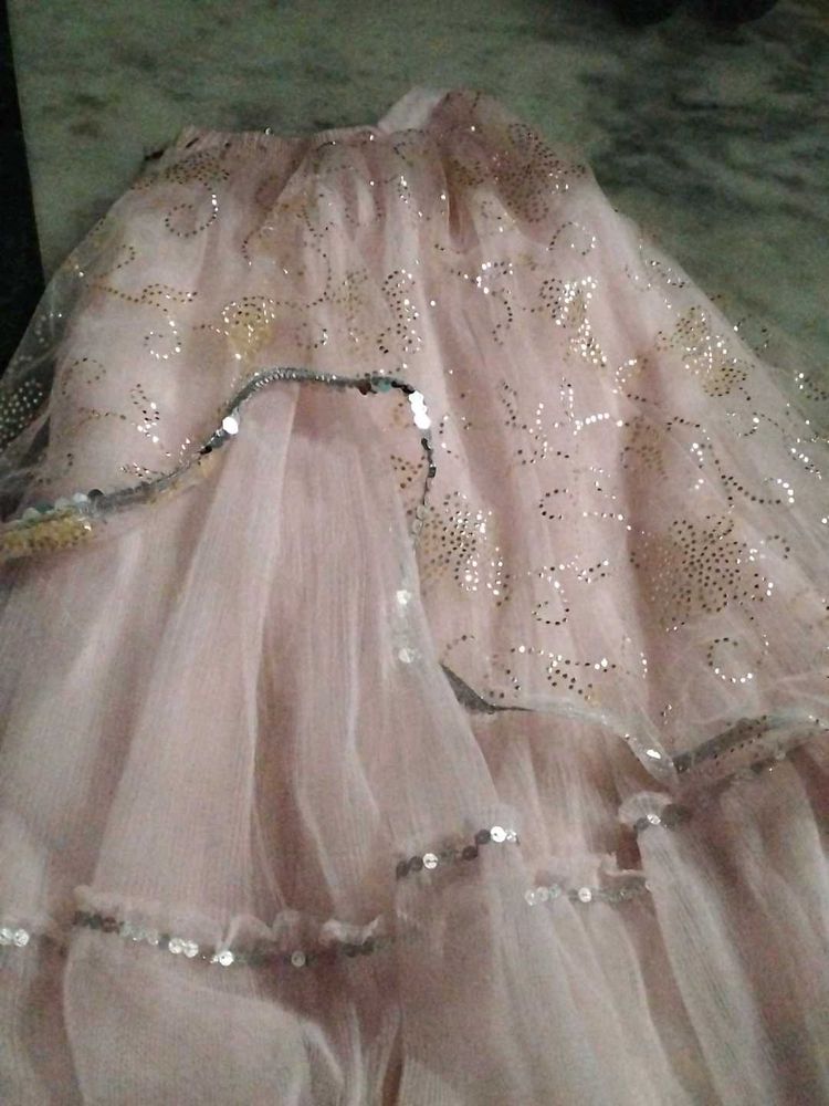 Pink Embellished Ethnic Skirt