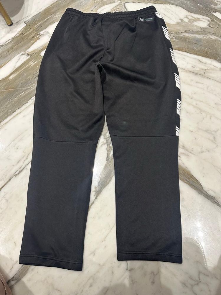 Puma Lower