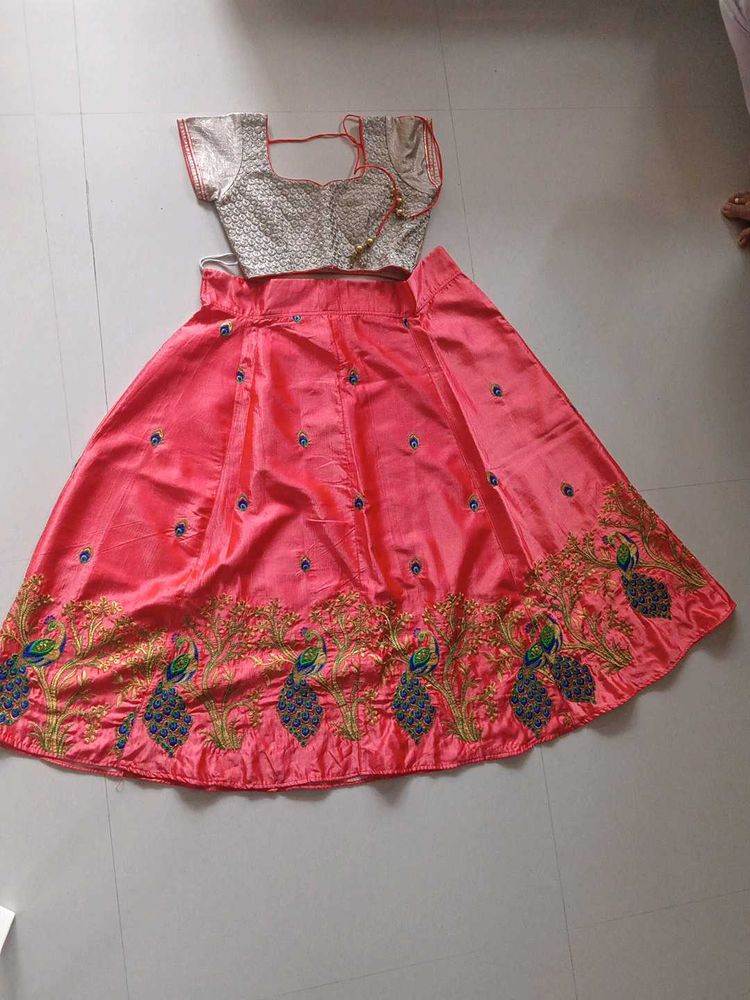 Embroidered Lehenga Choli Set