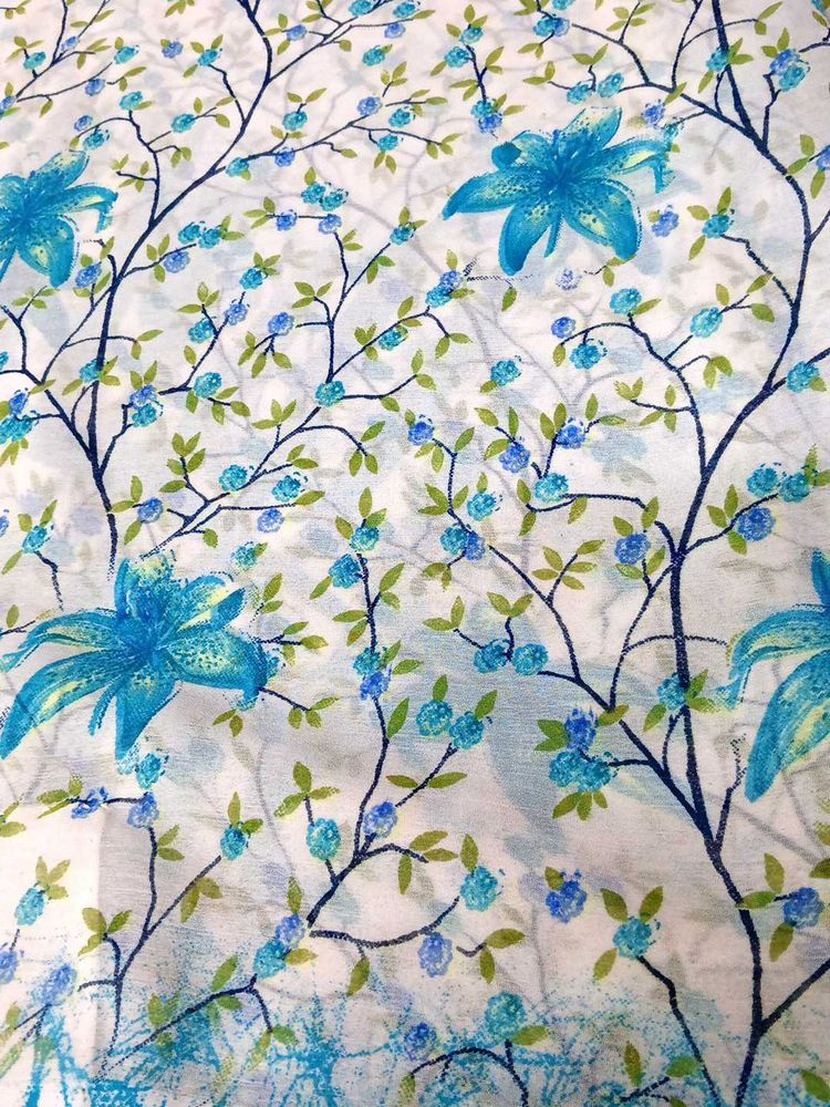 beautiful white georgette saree