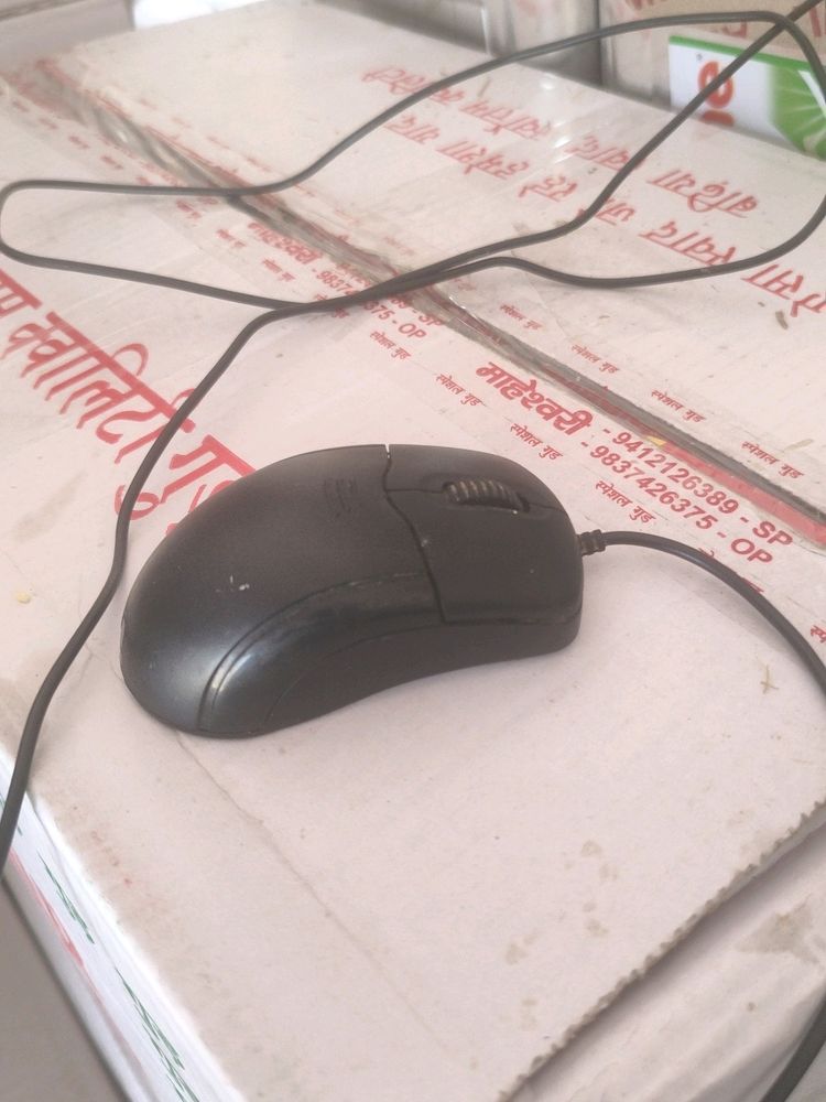 Mouse