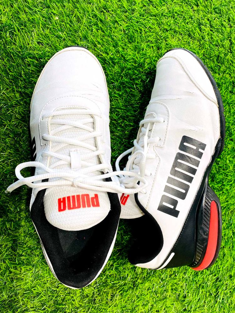 Original PUMA 👟 shoes for Men