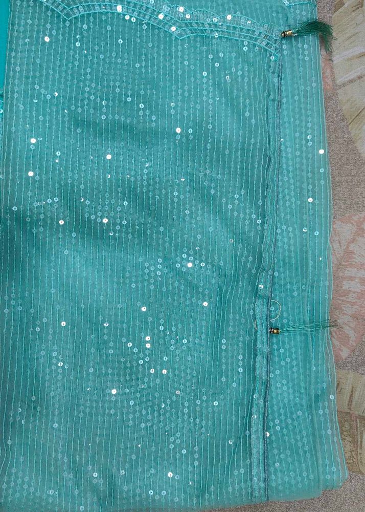 Aqua Sequin Saree