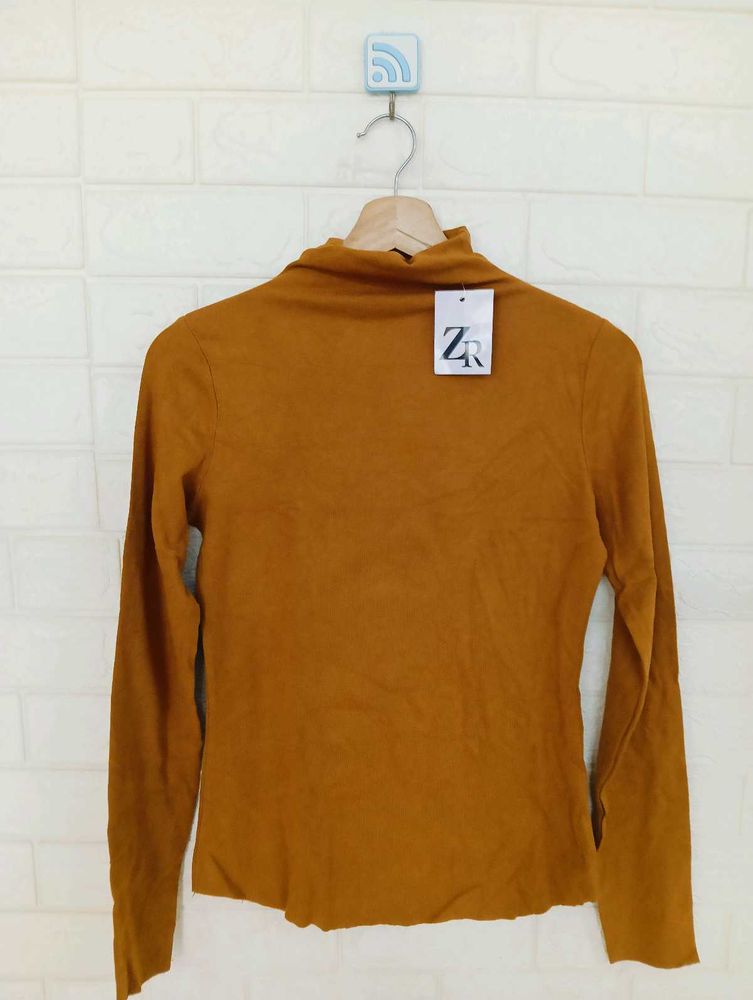 Zara Brown Turtleneck Top