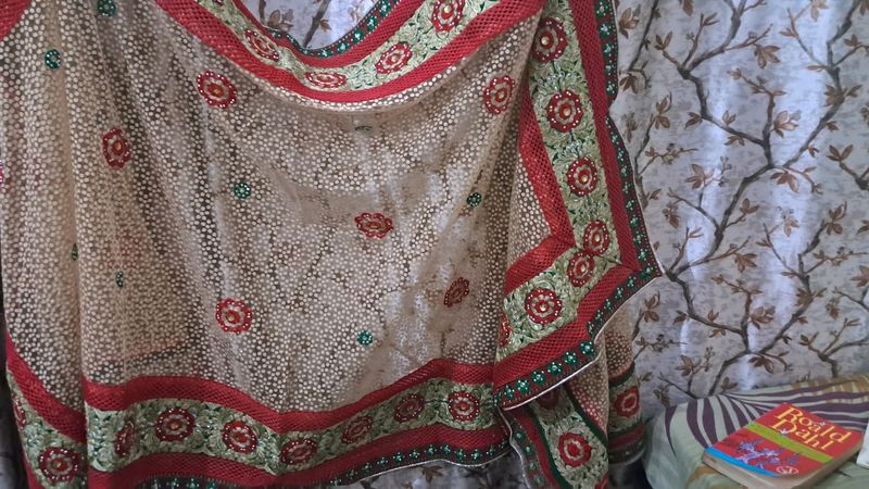 Red And Beige Dupatta