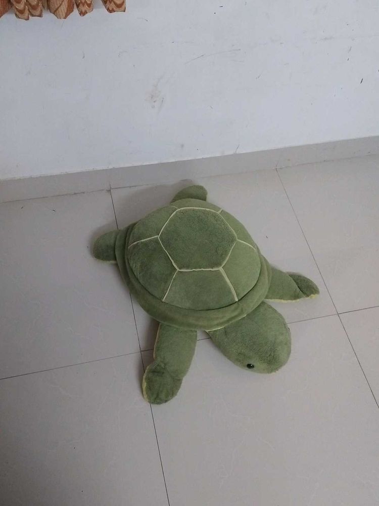 Cute Turtle Plush