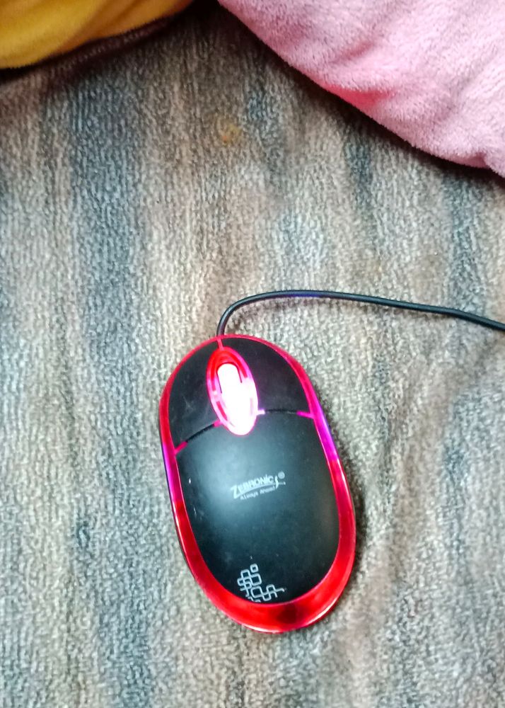 Weird Mouse