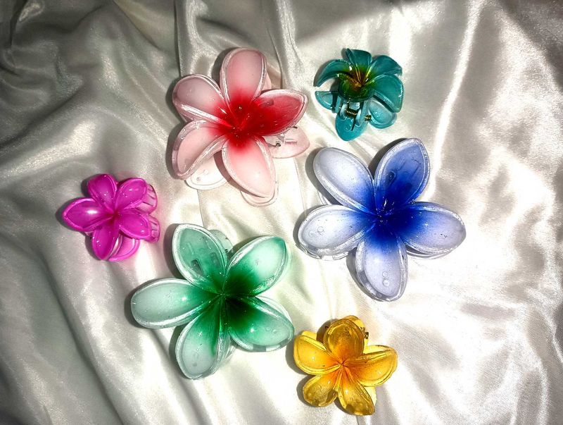Flower Hair Clips - Set of 6
