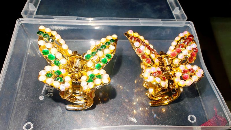 Butterfly Chatur